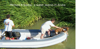Aruba Slideshow02