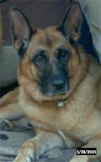 Josko