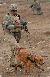 Melissa_Recon-Iraq