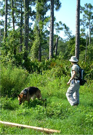 Port Charlotte 061906-402