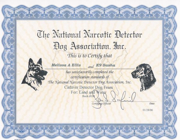 Sasha_nndda_cert02