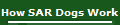 How SAR Dogs Work