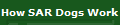 How SAR Dogs Work