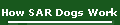 How SAR Dogs Work