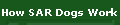 How SAR Dogs Work