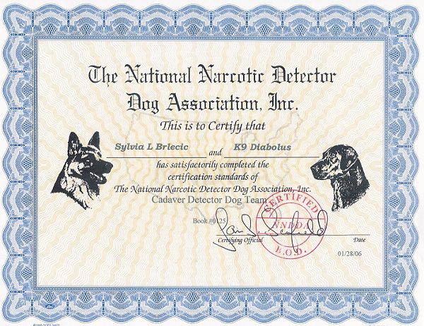 diabolus-nndda-cert02