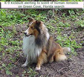 kickbutt-alerts-green-cove02