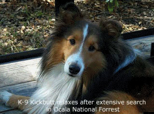 kickbutt-relaxes02